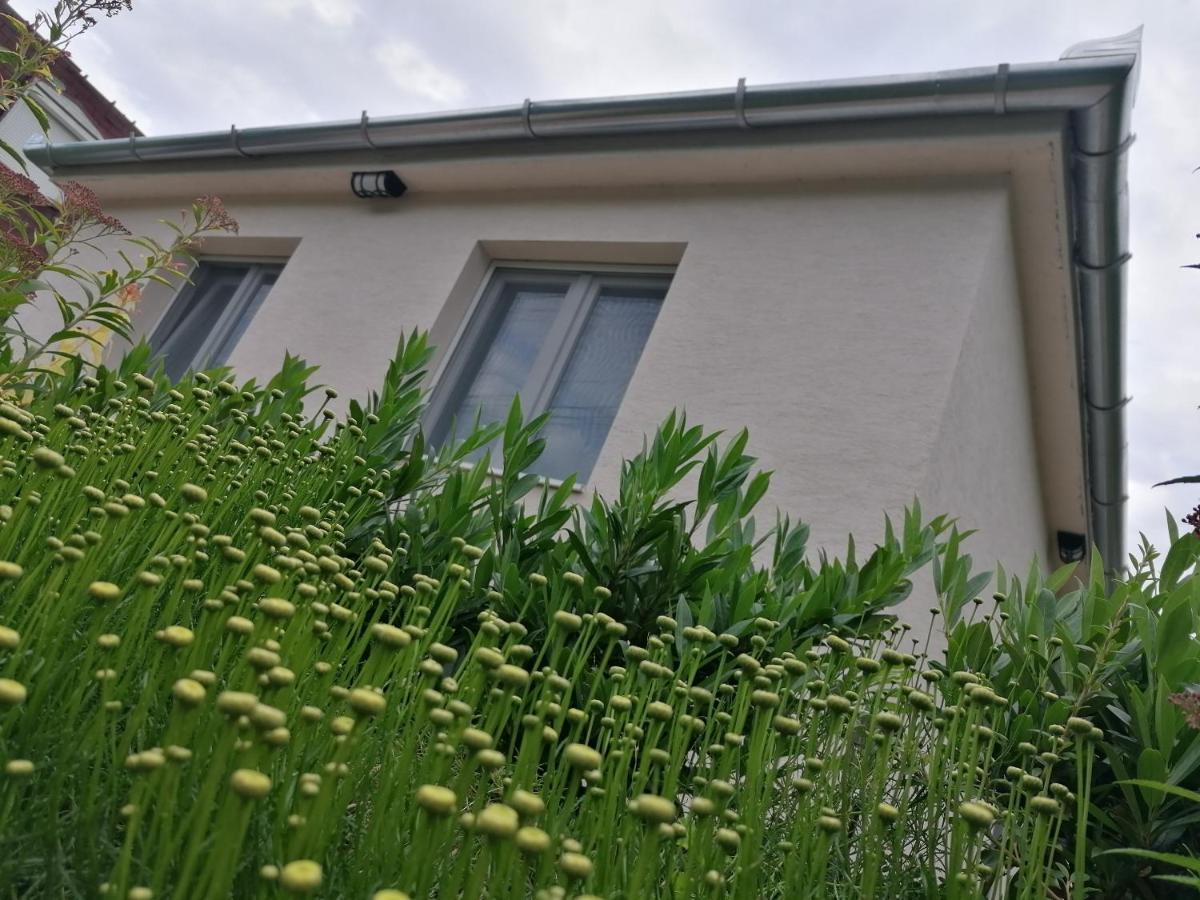 Levelke Mini Apartman Gardony Luaran gambar